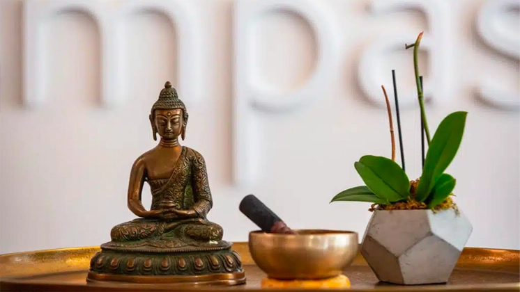 Minfulness Terapi Nedir?